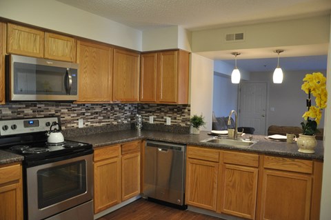Floor plan for 2 beds, 1 bath, 875 sqft